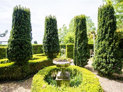 Picture 17